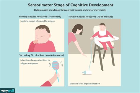 sensorimotor phase of cognitive development.